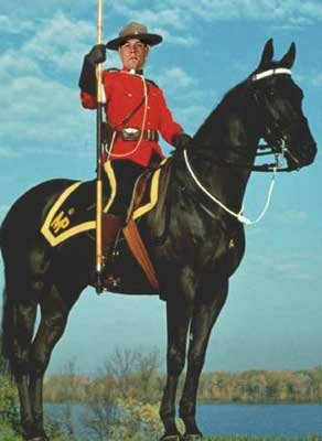 mountie.jpg