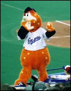 youppi.jpg